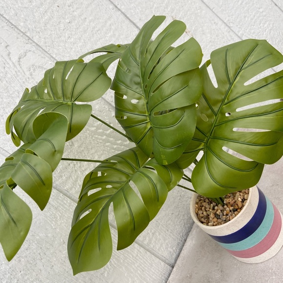 Faux Monstera Deliciosa Plant in Colorful Pot - Picture 7 of 15